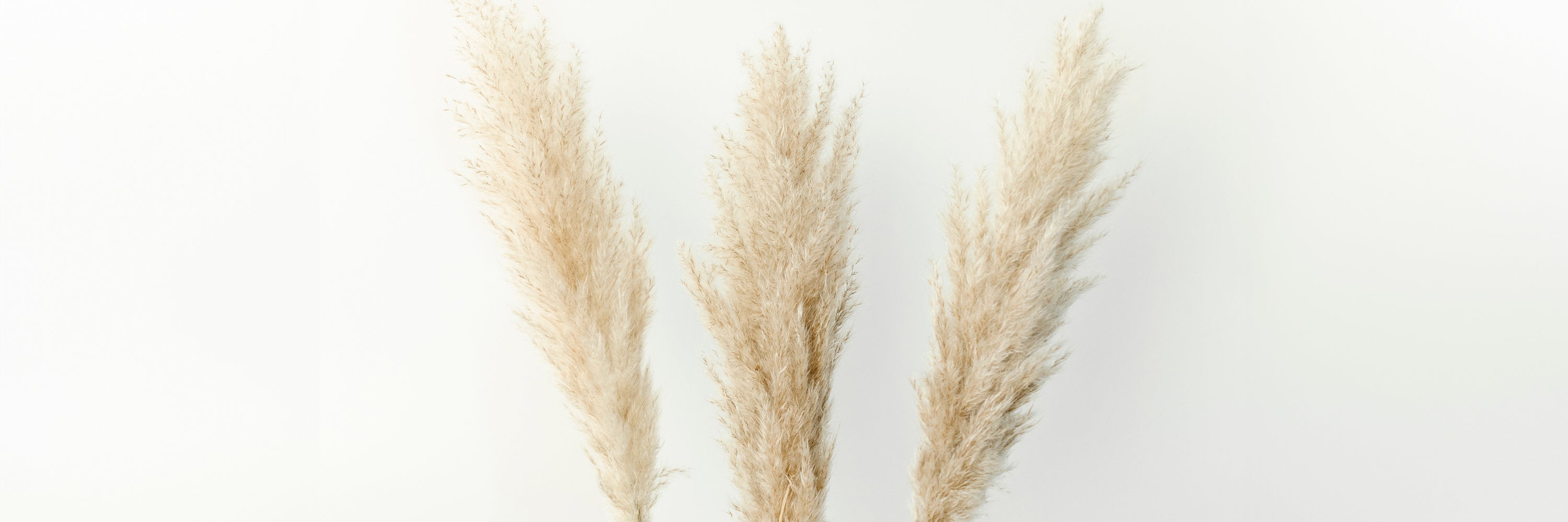 Vasen von Bloomingville mit Pampasgras