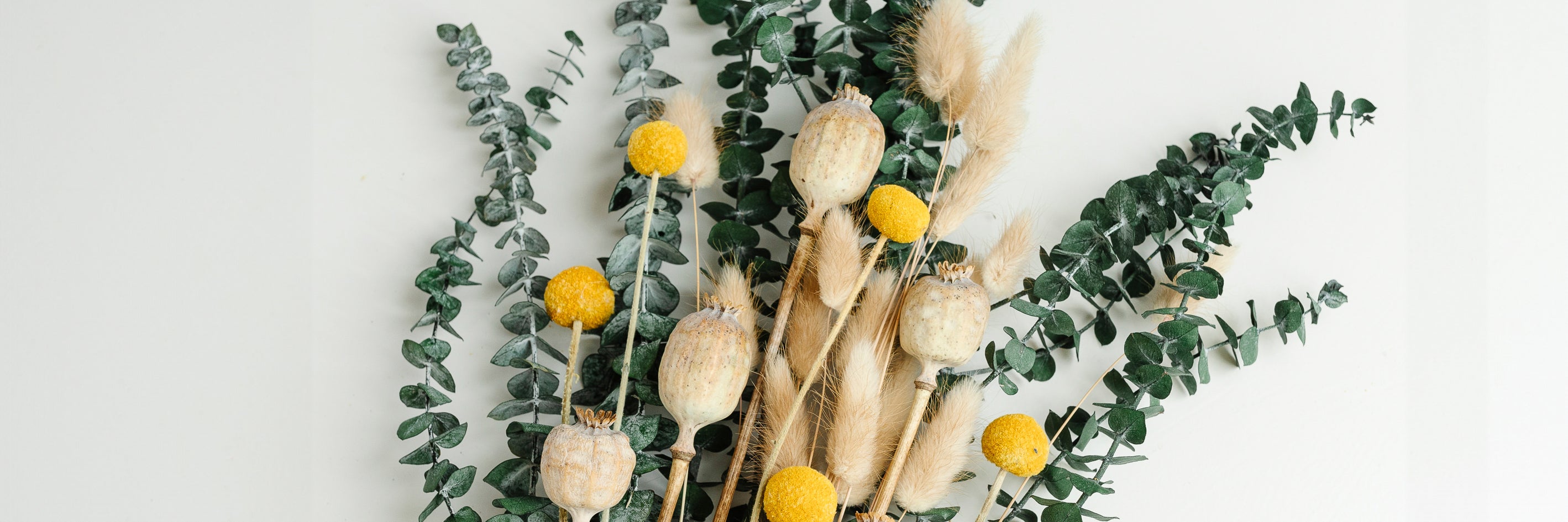 Vase mit Trockenblumen