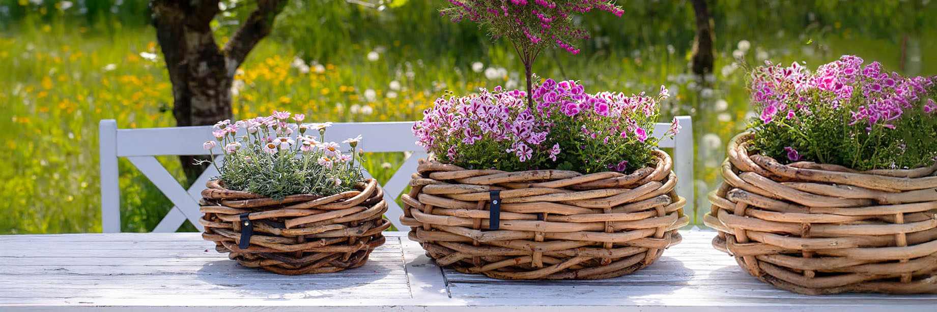 Rattankörbe & Schalen