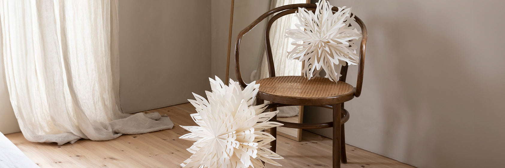 Papier- & Leuchtsterne