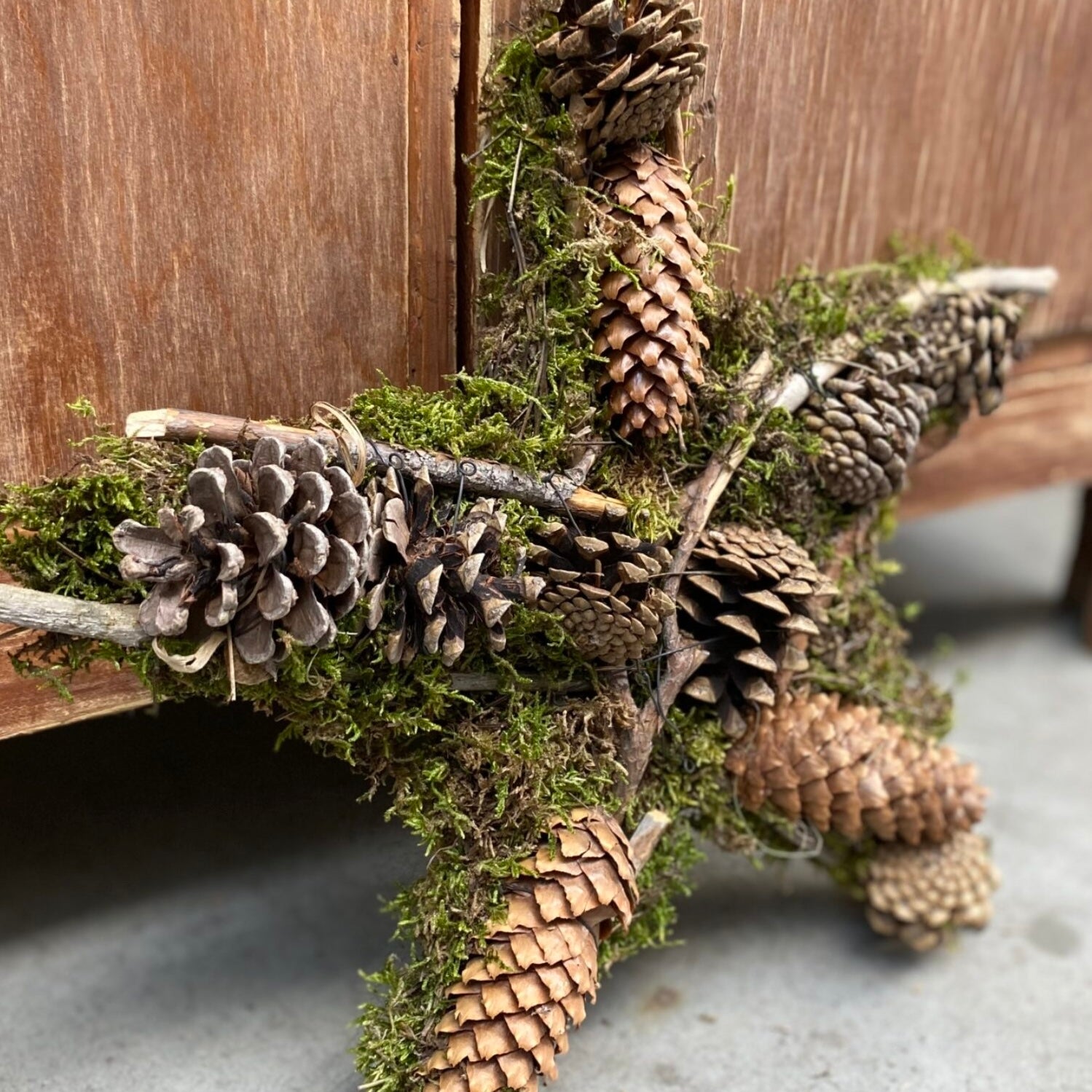 Stern mit Moos & Zapfen
