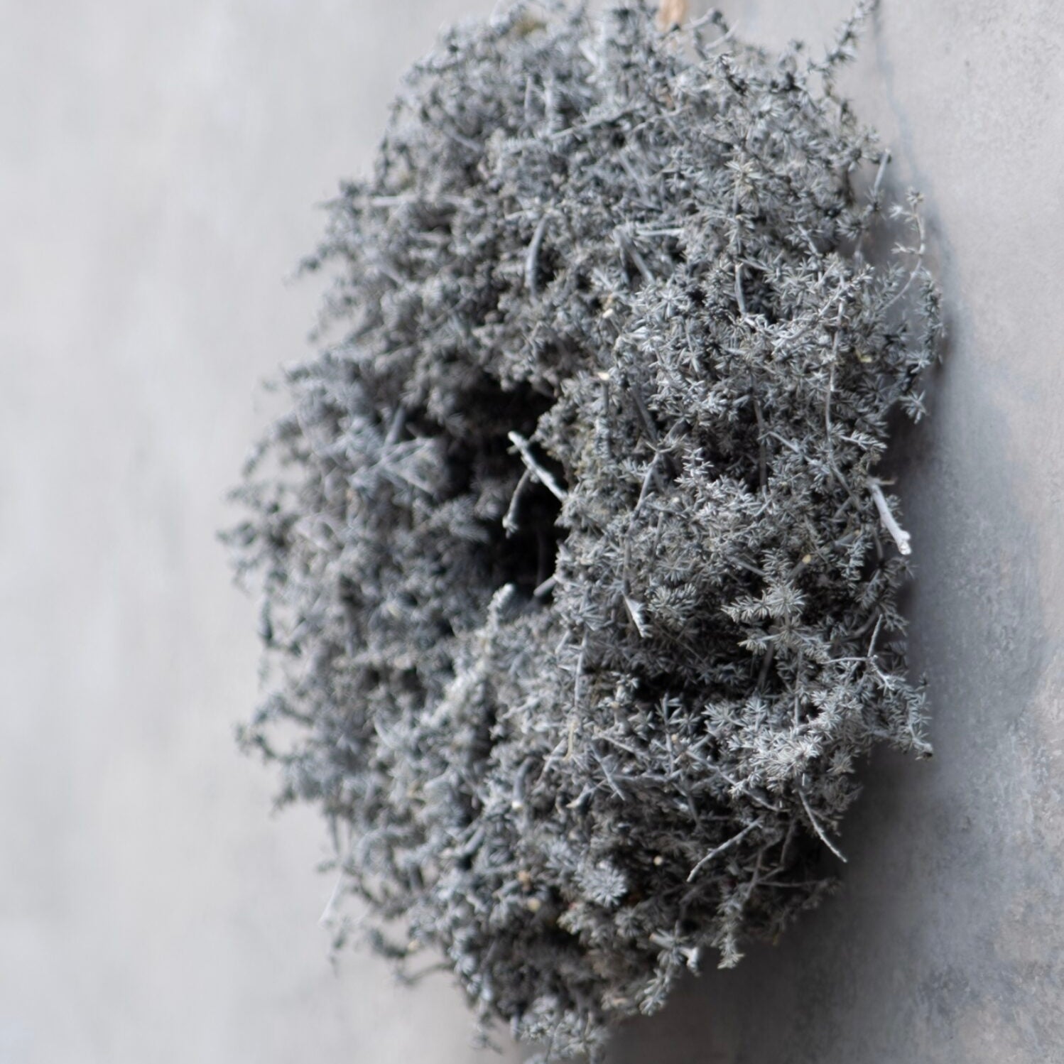 Kranz Asparagus - dunkelgrau