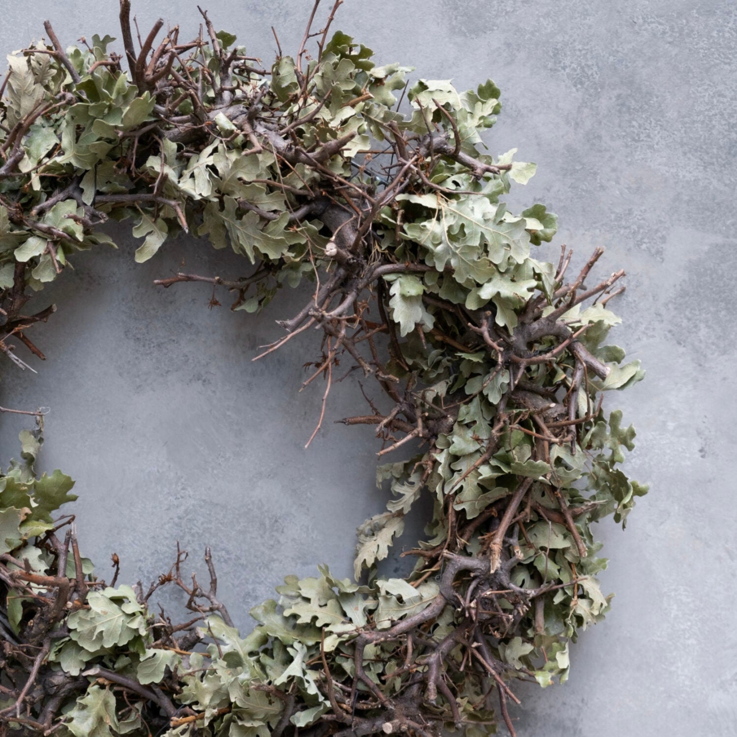 Kranz Bonsai & Eiche