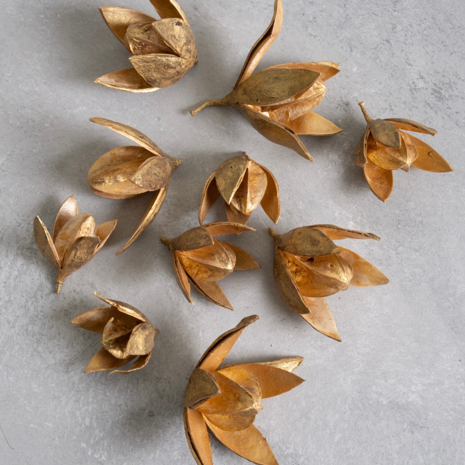 Wild Lily Blüten - gold