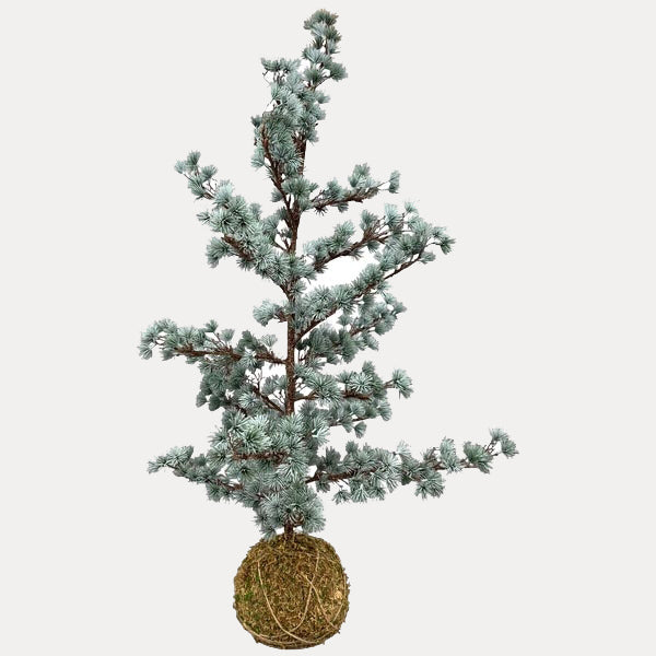 Zedernbaum künstlich