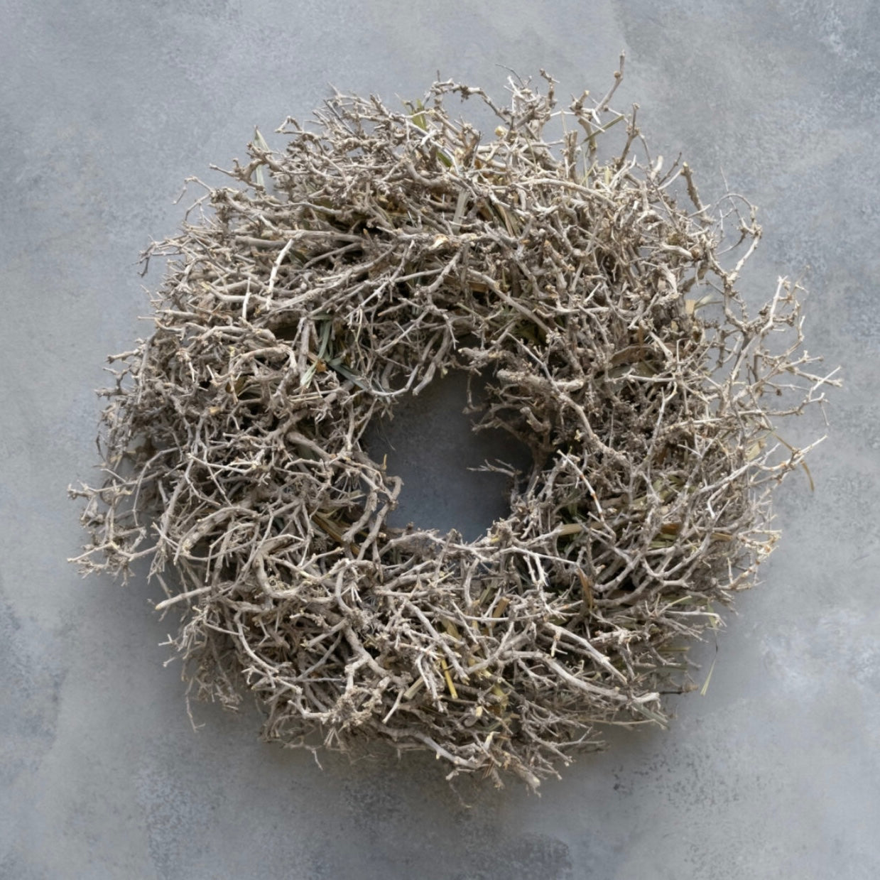 Kranz Desert Bush - natur