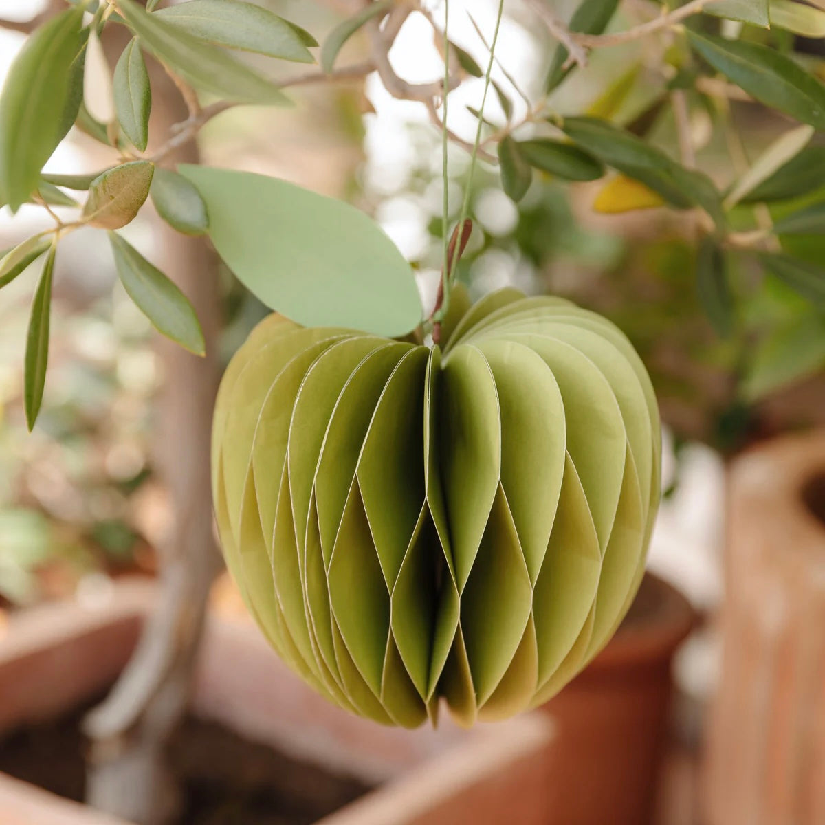 Papieranhänger Apfel - grün