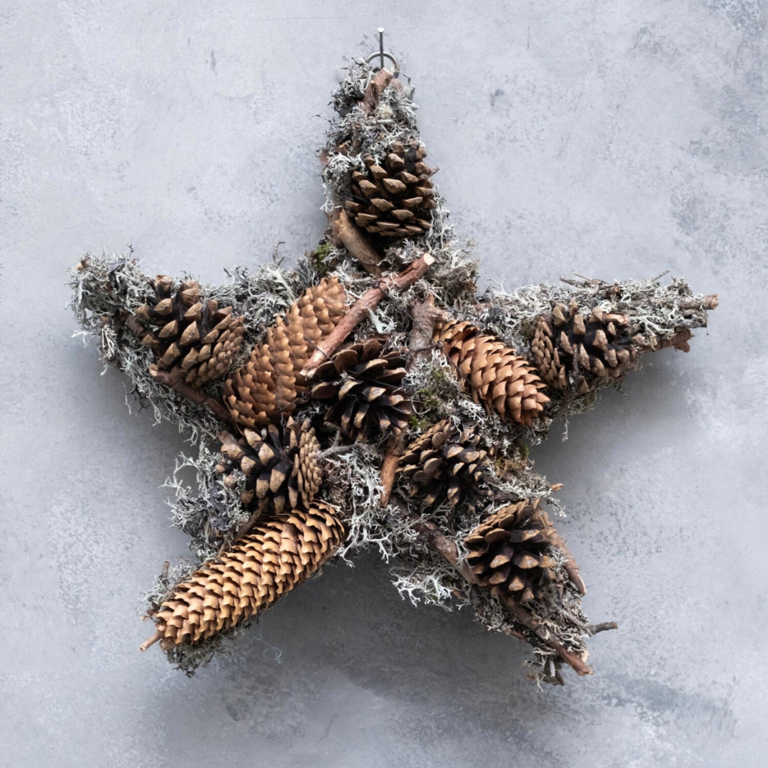 Stern mit Moos & Zapfen - grau braun