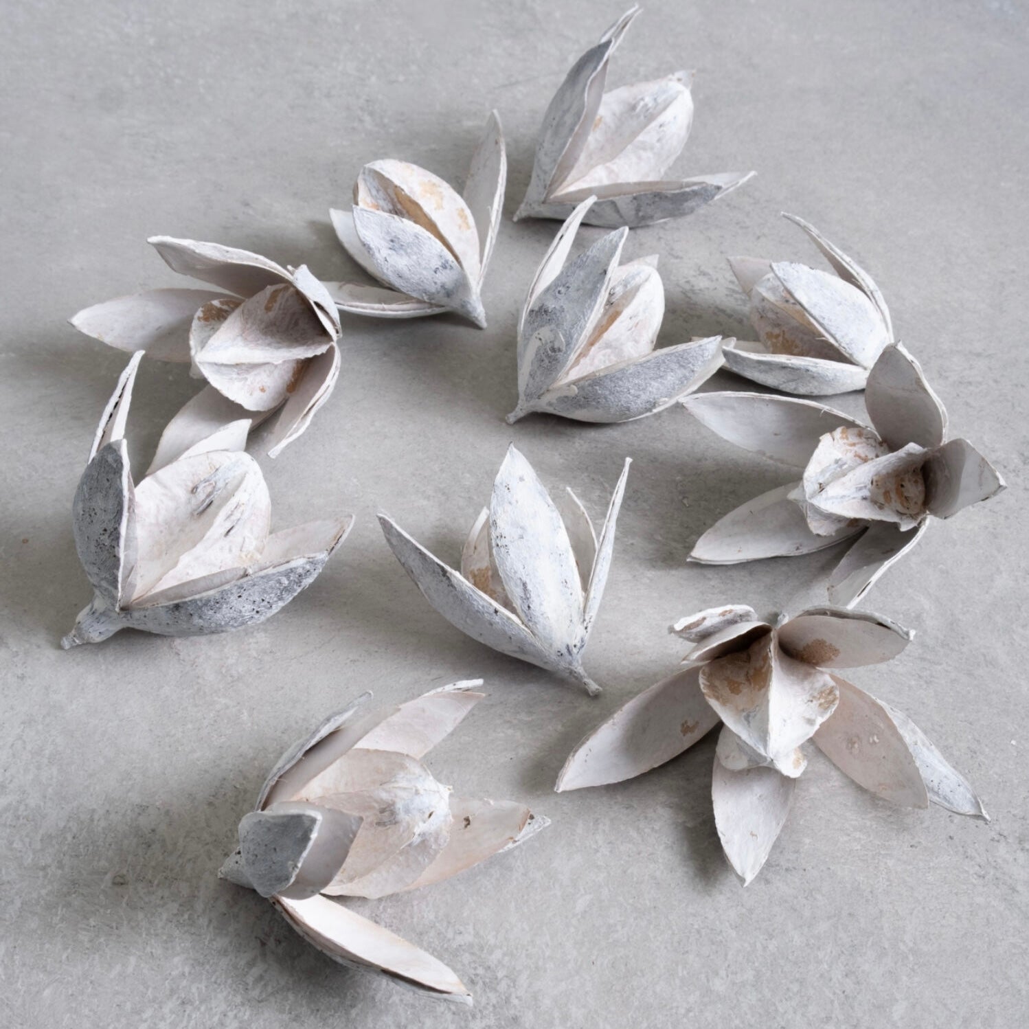 Wild Lily Blüten - weiß