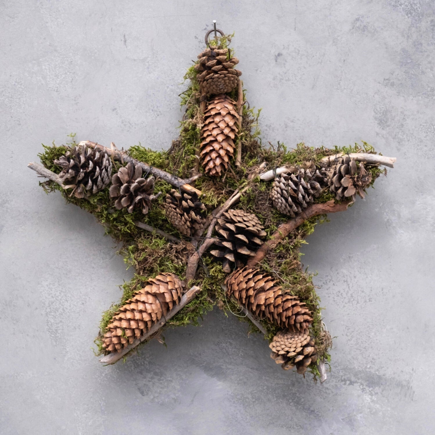 Stern mit Moos & Zapfen