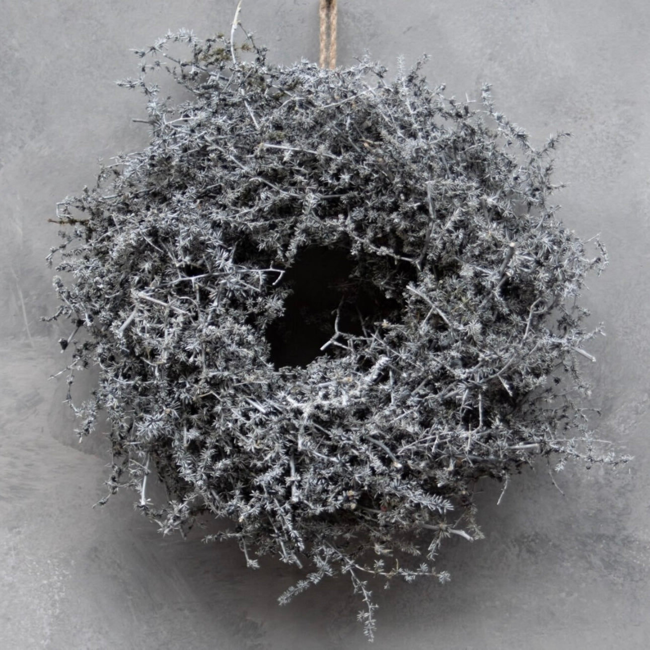 Kranz Asparagus - dunkelgrau