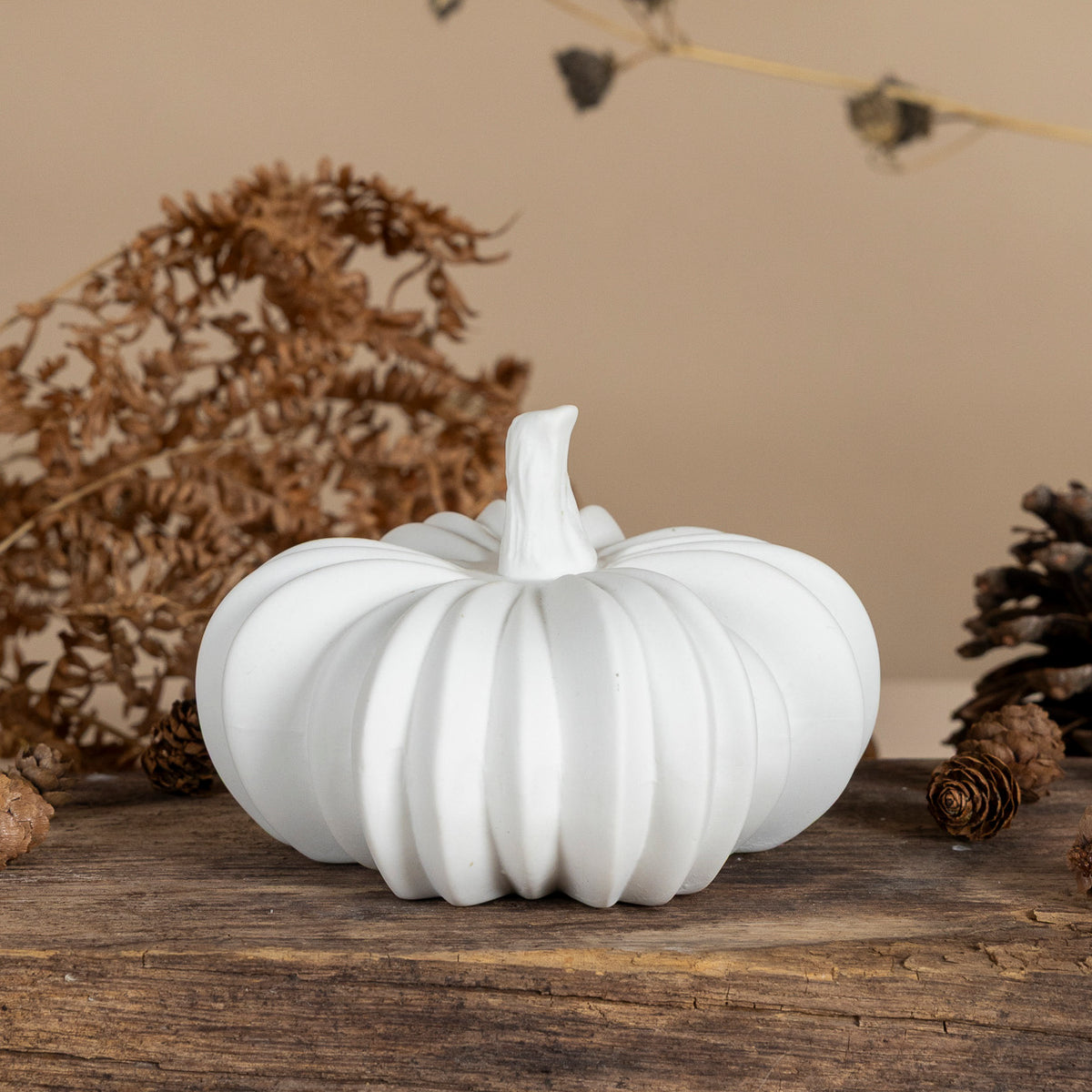Kürbis Hovsjö L - weiß