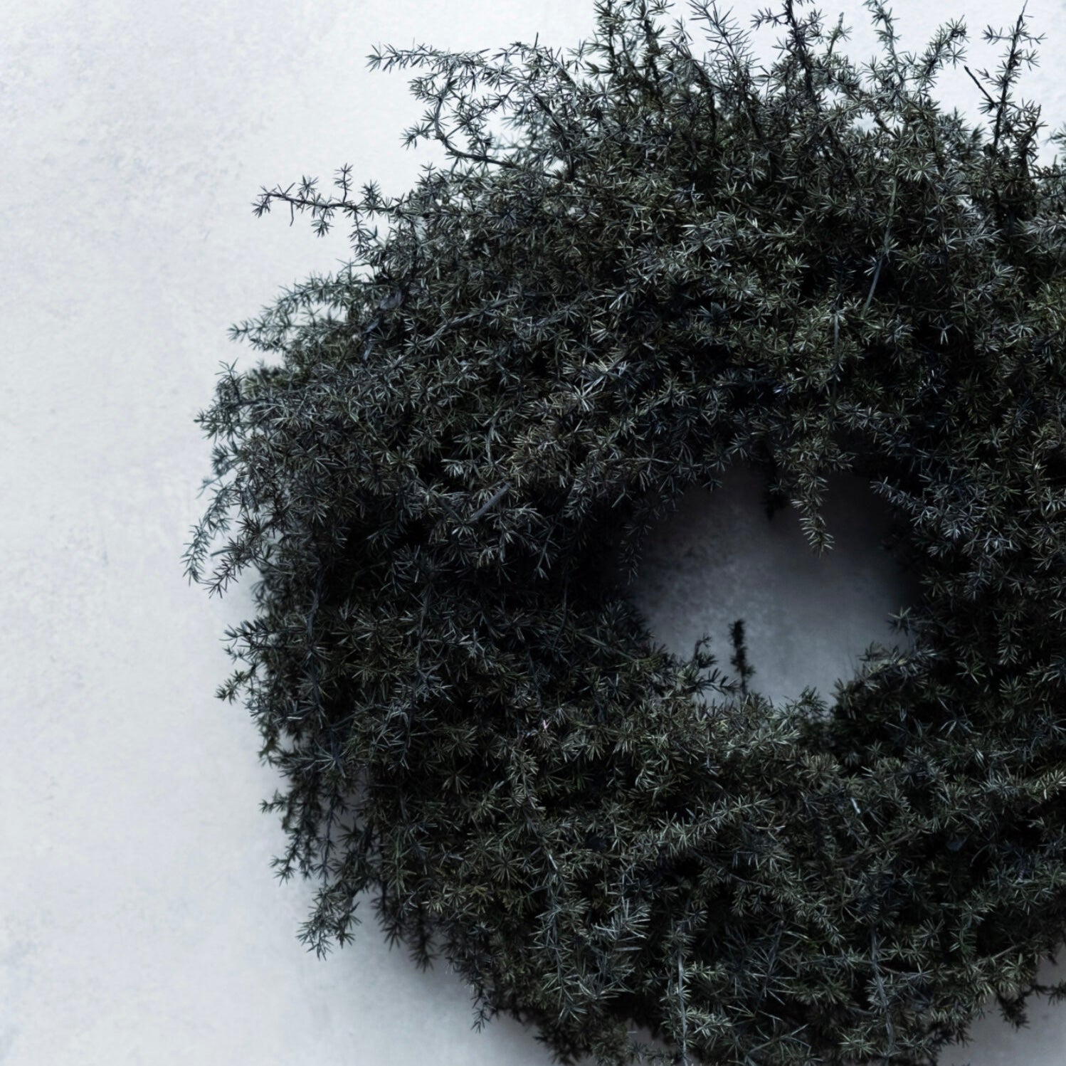 Kranz Asparagus - schwarz