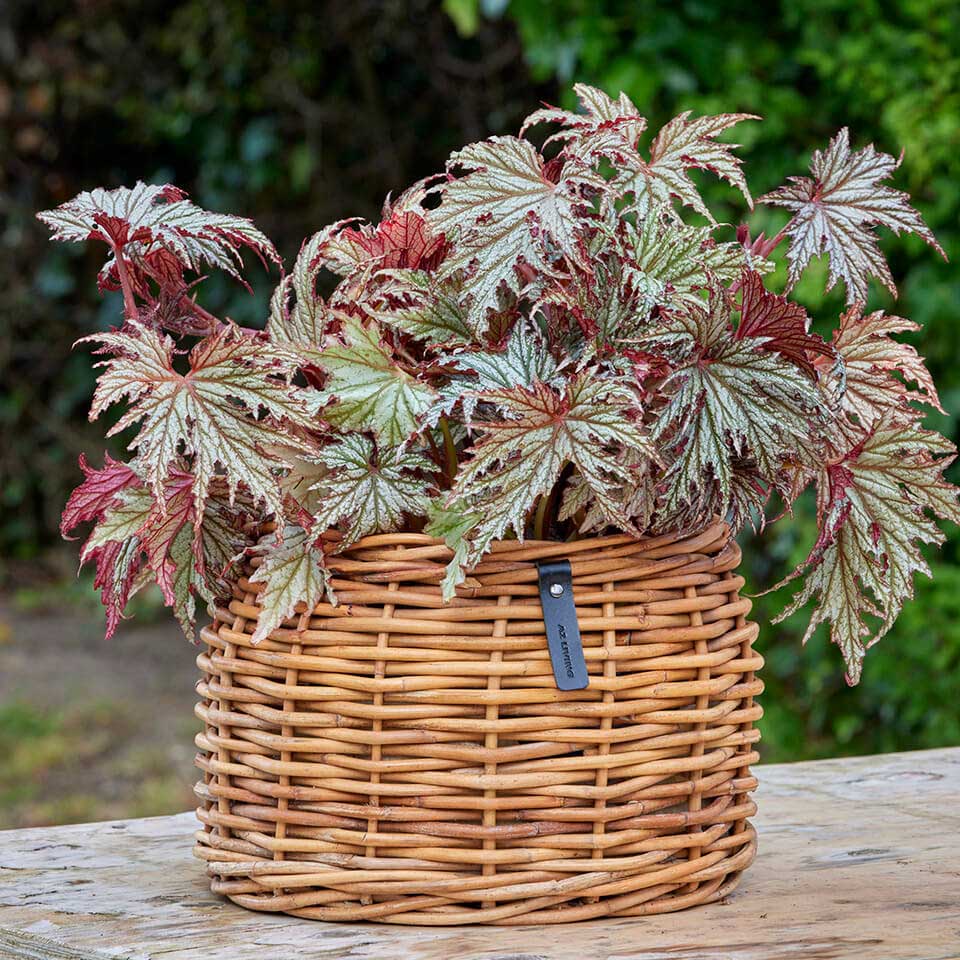 Rattan Korb Lacak - rund