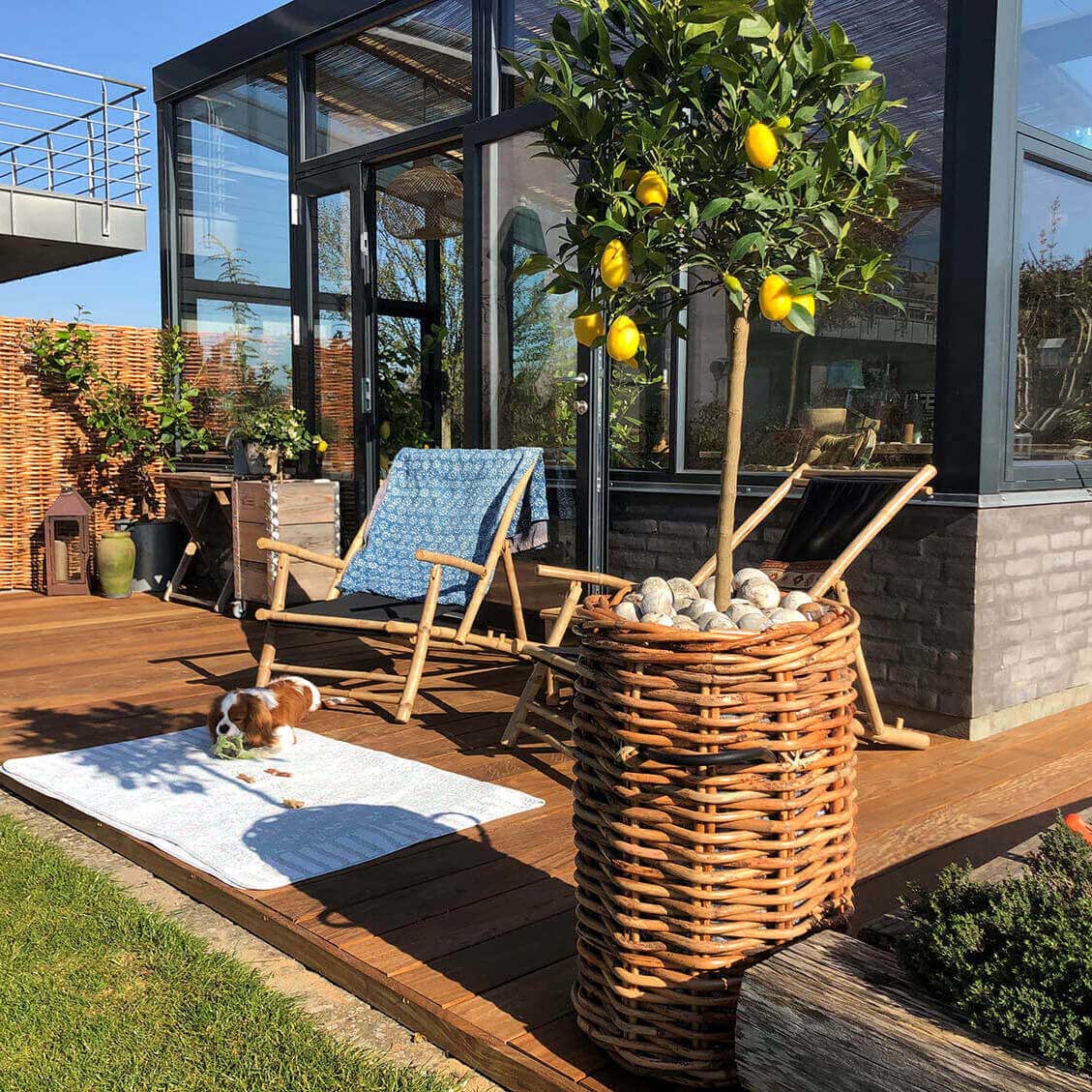 Rattan Korb rund maxi - 45x66cm