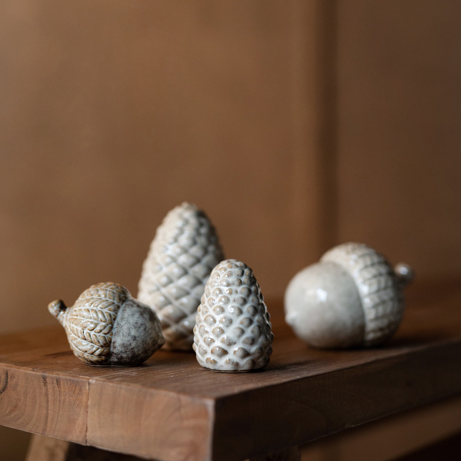 Eichel Ekollon - natur