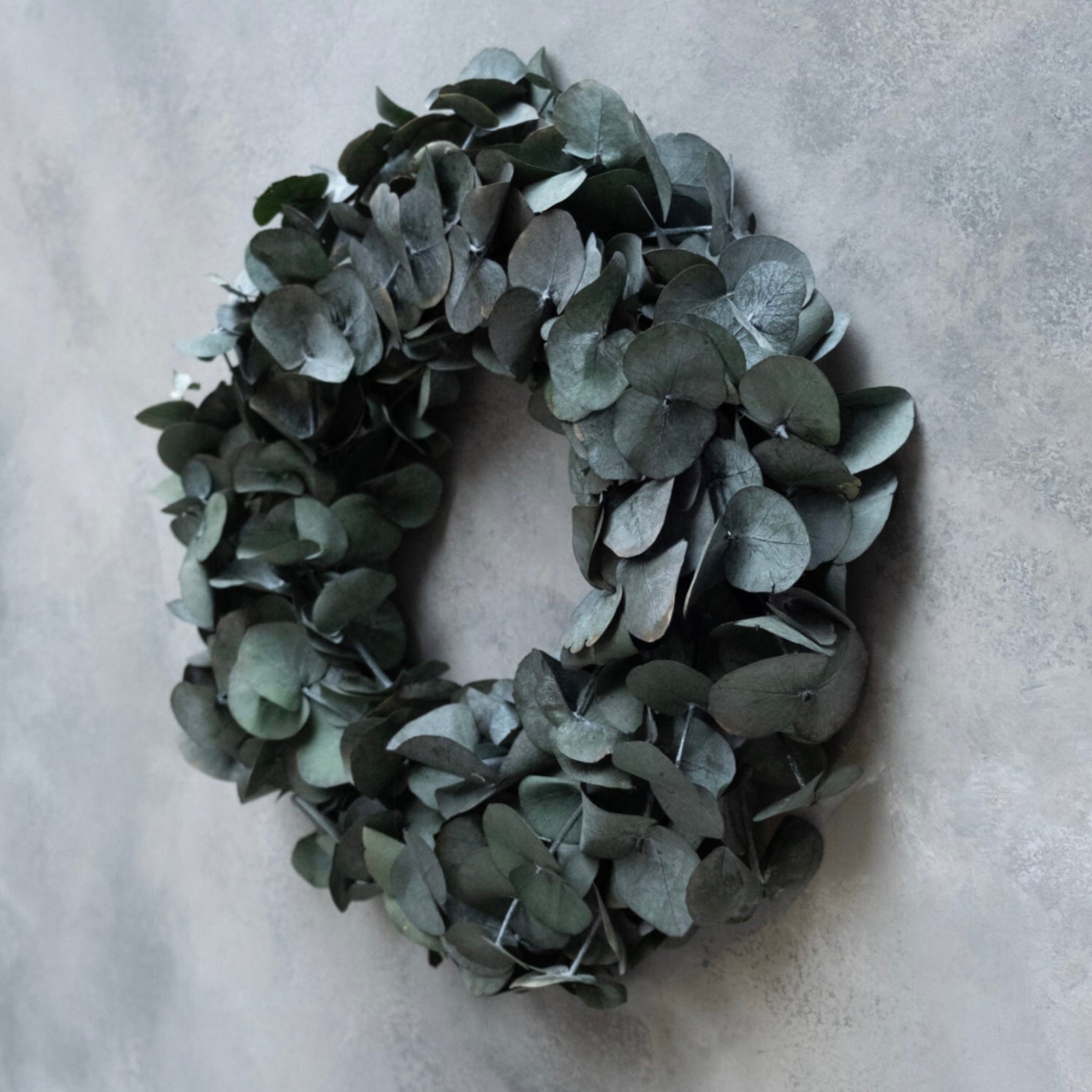 Kranz Eucalyptus - konserviert