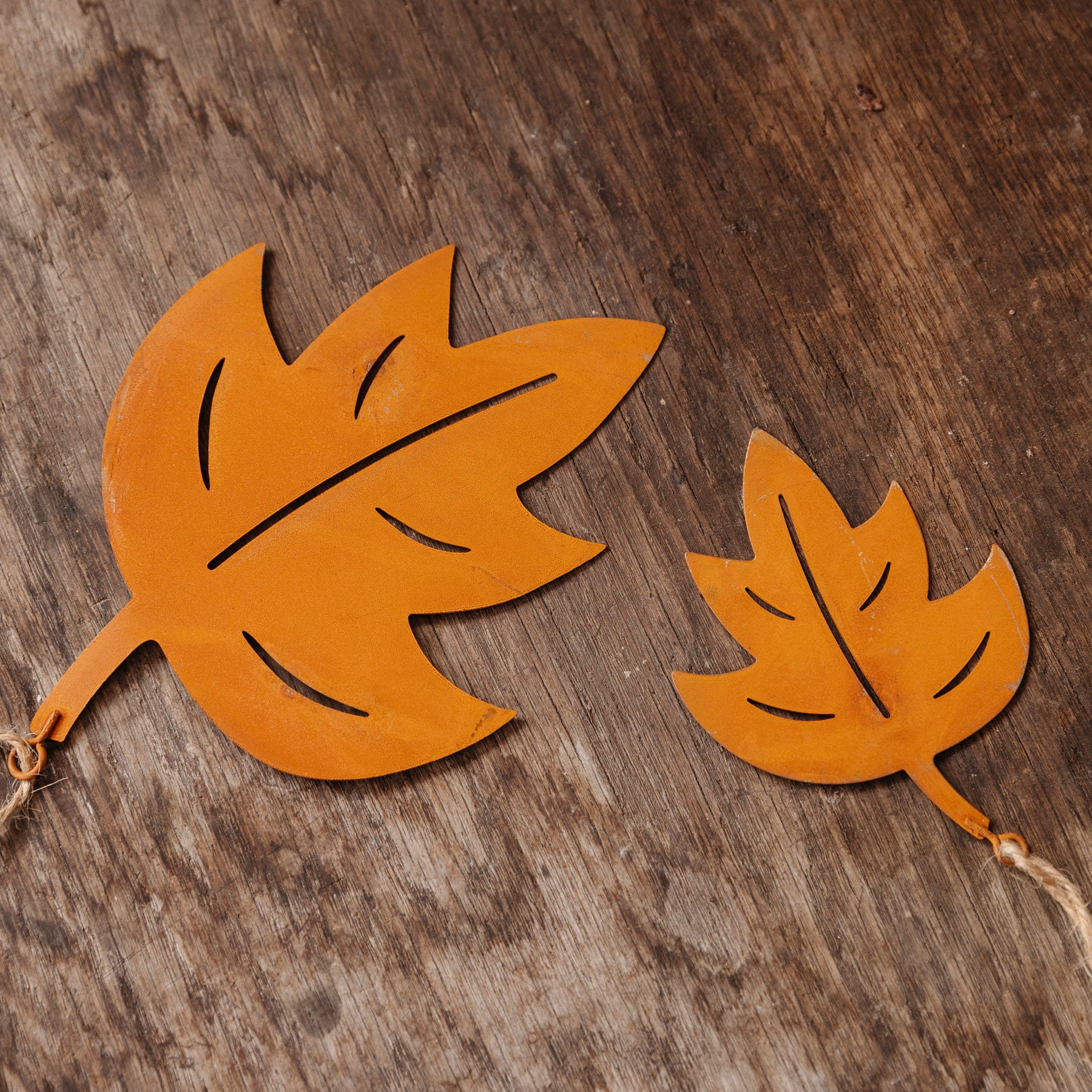 Blätter zum Hängen - Rost