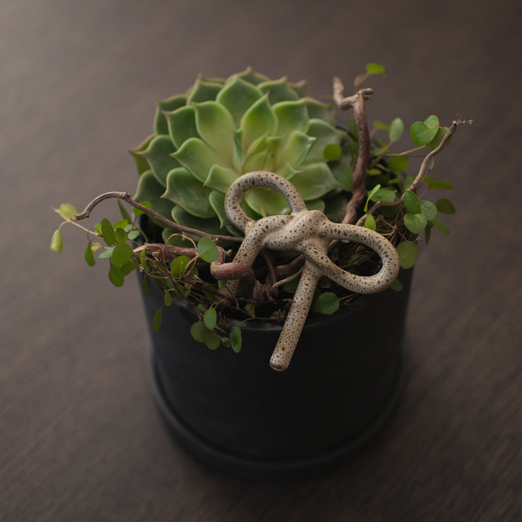 Blumendeko Bow - beige