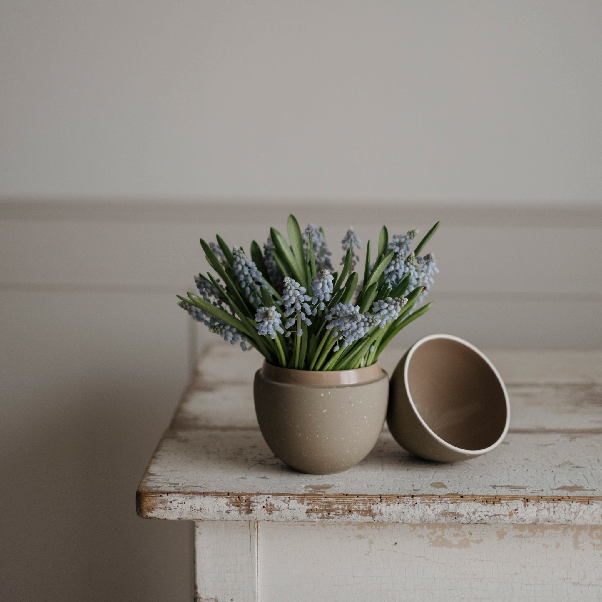 Bonbonniere Schale Ei - sand