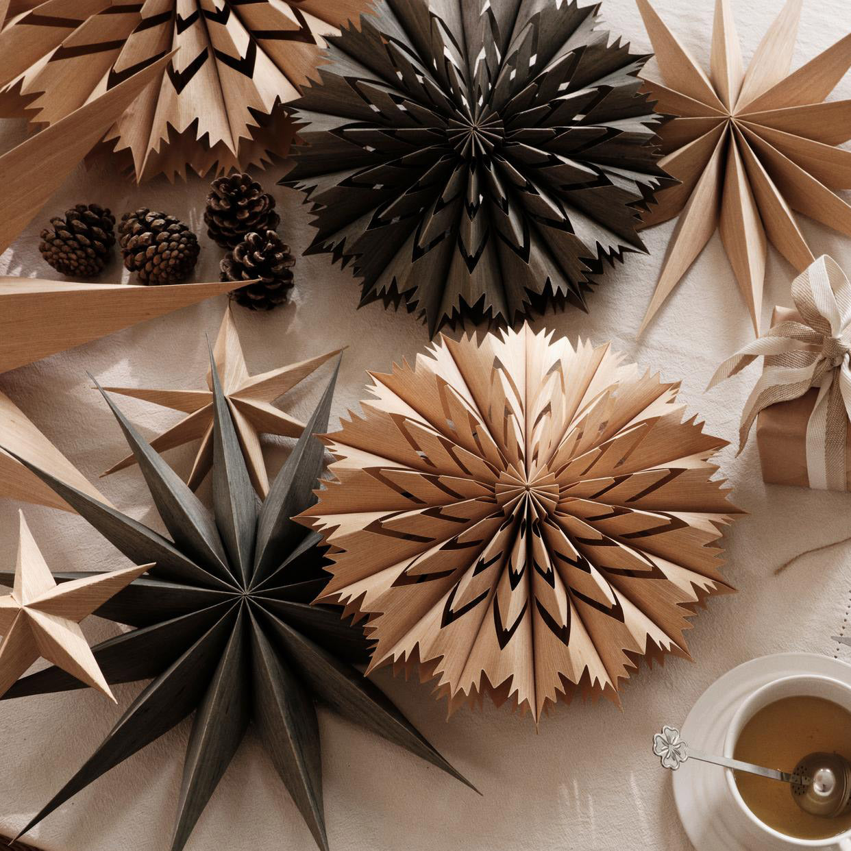 Weihnachtsstern Venja - fungi grey