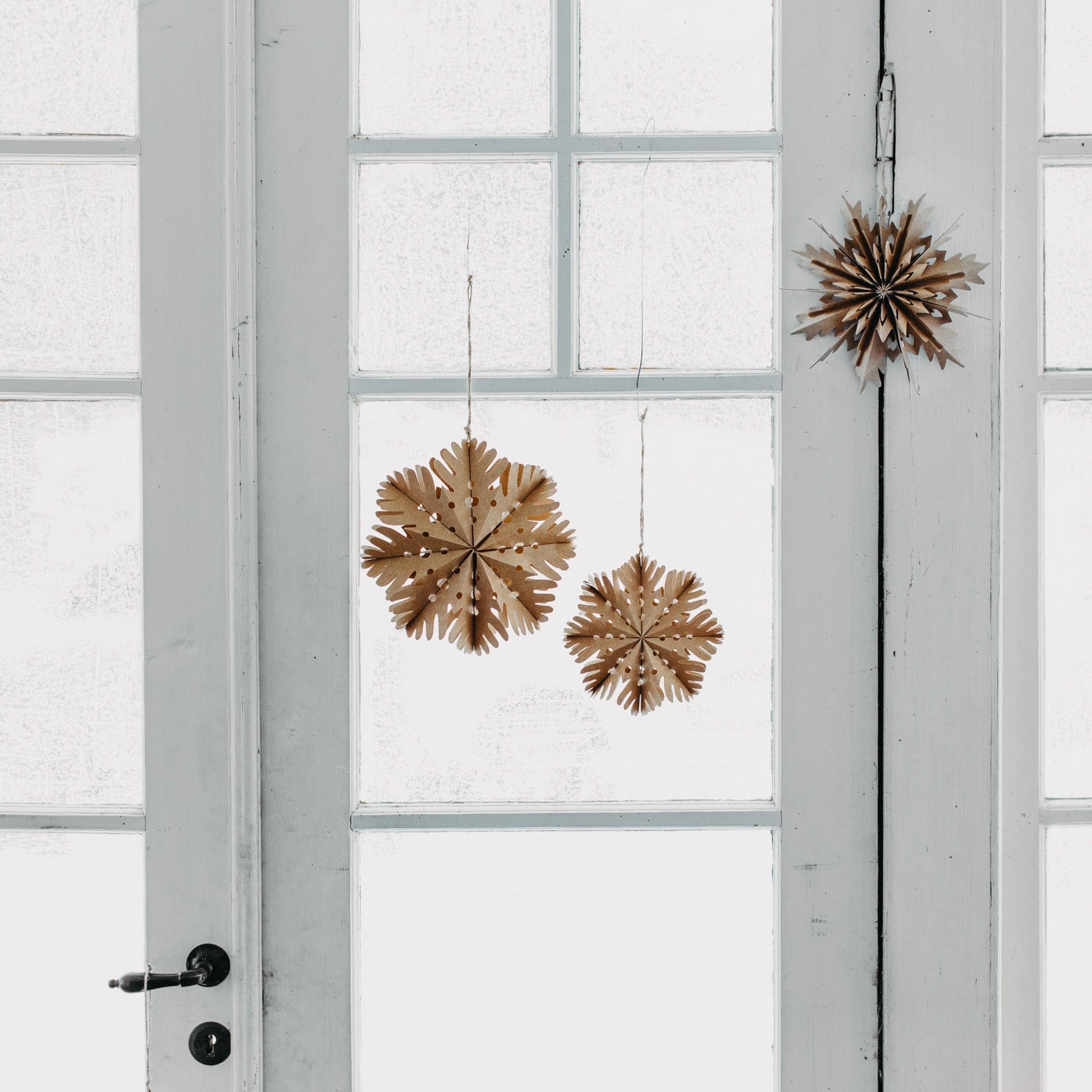 Papierstern Busterud - braun