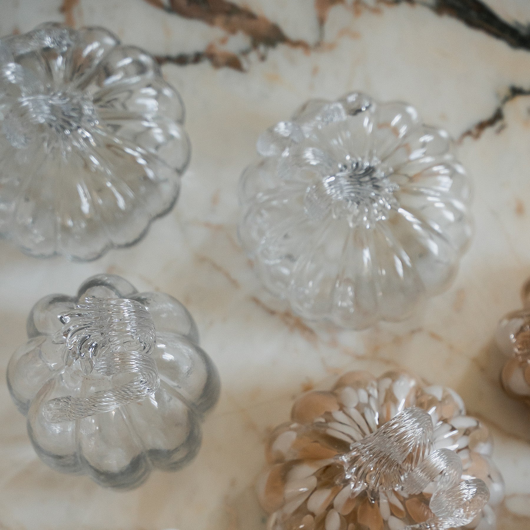 Cooee Pumpkin - clear