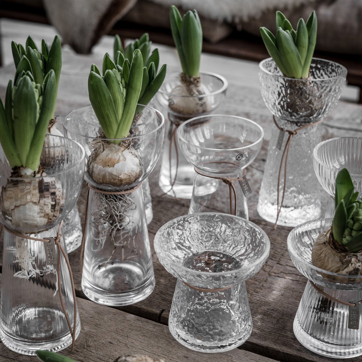 Hyazinthenvase aus Glas - strukturiert