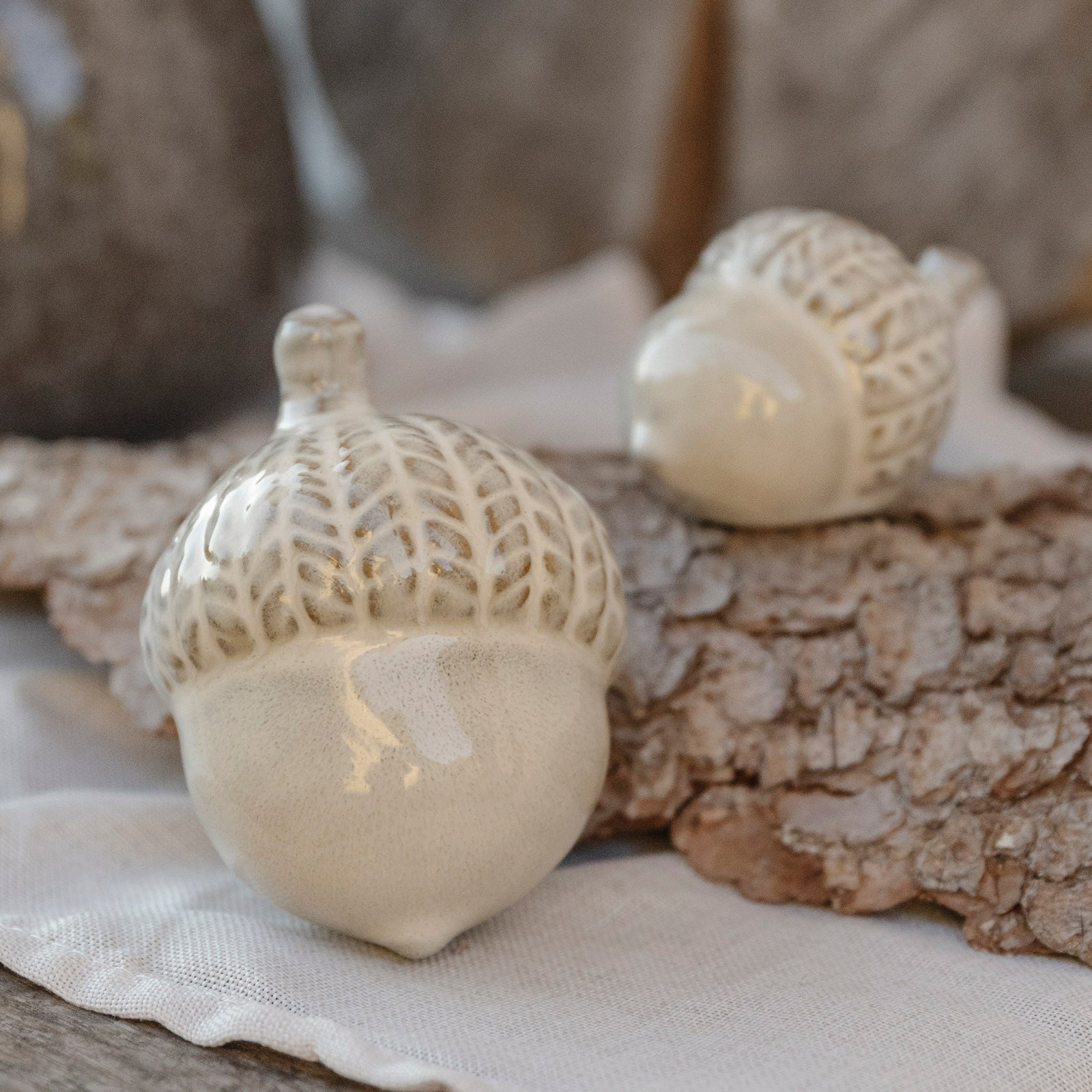 Eichel Ekollon - natur