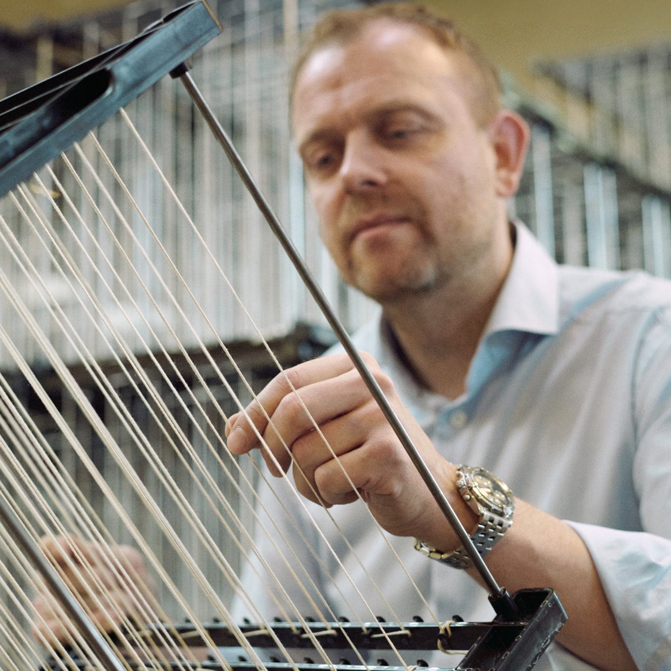 Ester & Erik Stabkerzen 32cm 4er Set - 36 winter berry