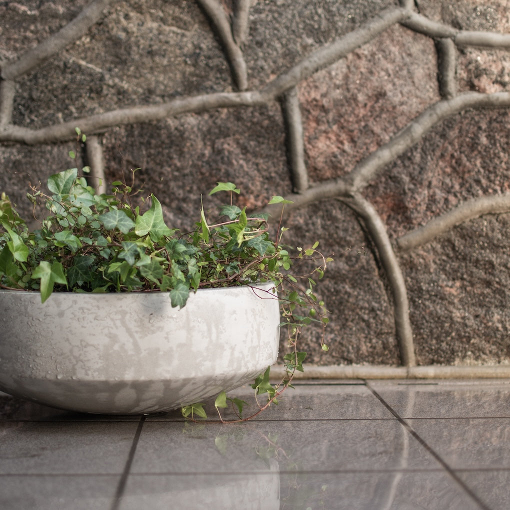 Pflanzschale Garden Bowl - Beton