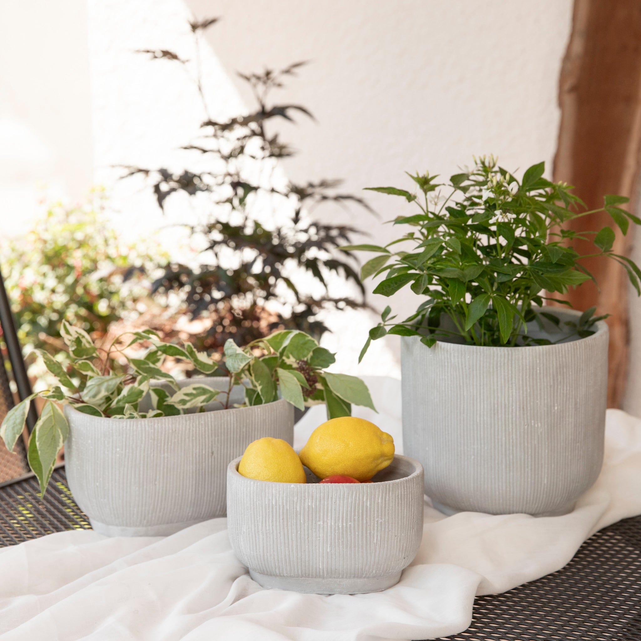 Schale Nola oval aus Beton - grau