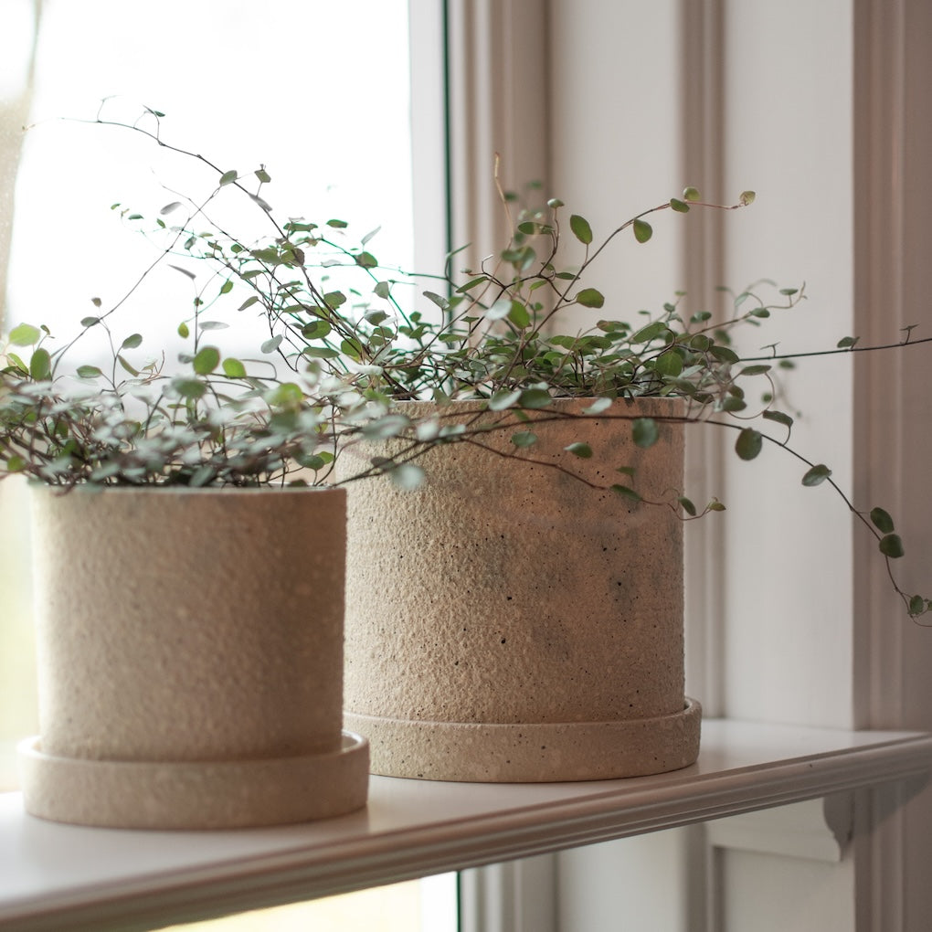 Übertopf Grow Pot - creme structure