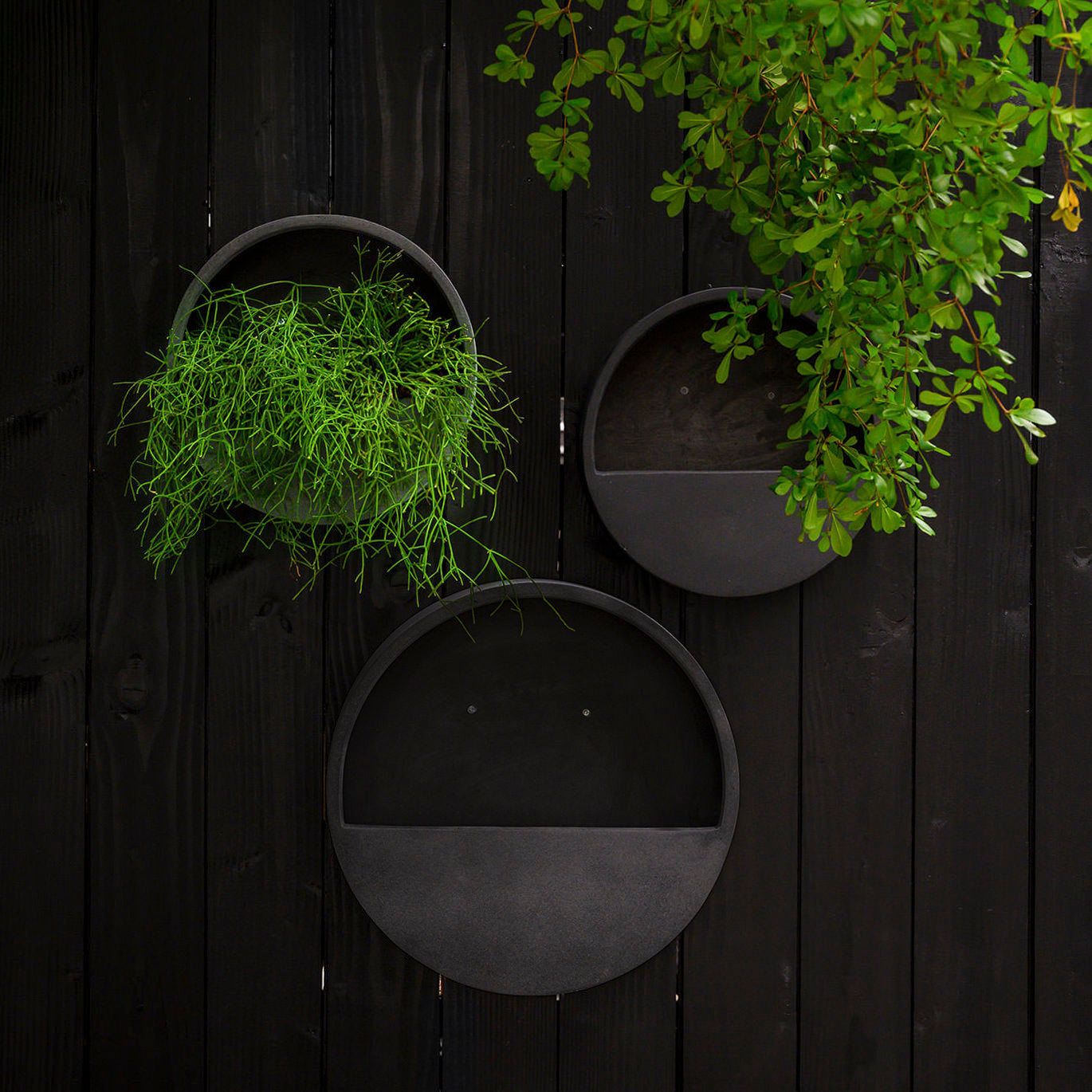 Pflanztopf Hanging Wally - black