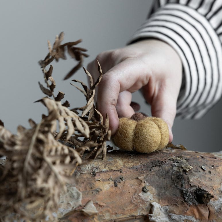 Kürbis Haga mini - gelb