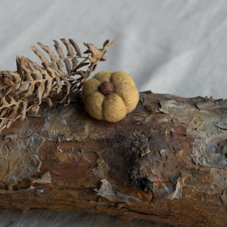 Kürbis Haga mini - gelb