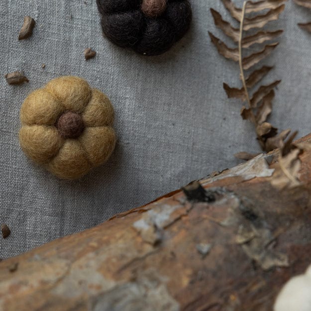 Kürbis Haga mini - gelb