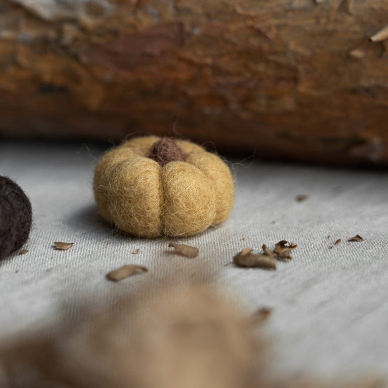 Kürbis Haga mini - gelb