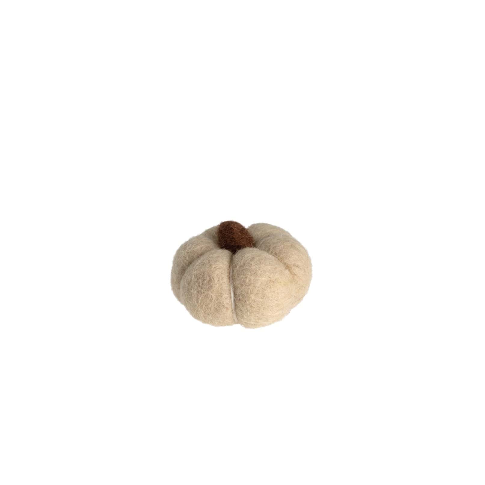 Kürbis Haga mini - natur
