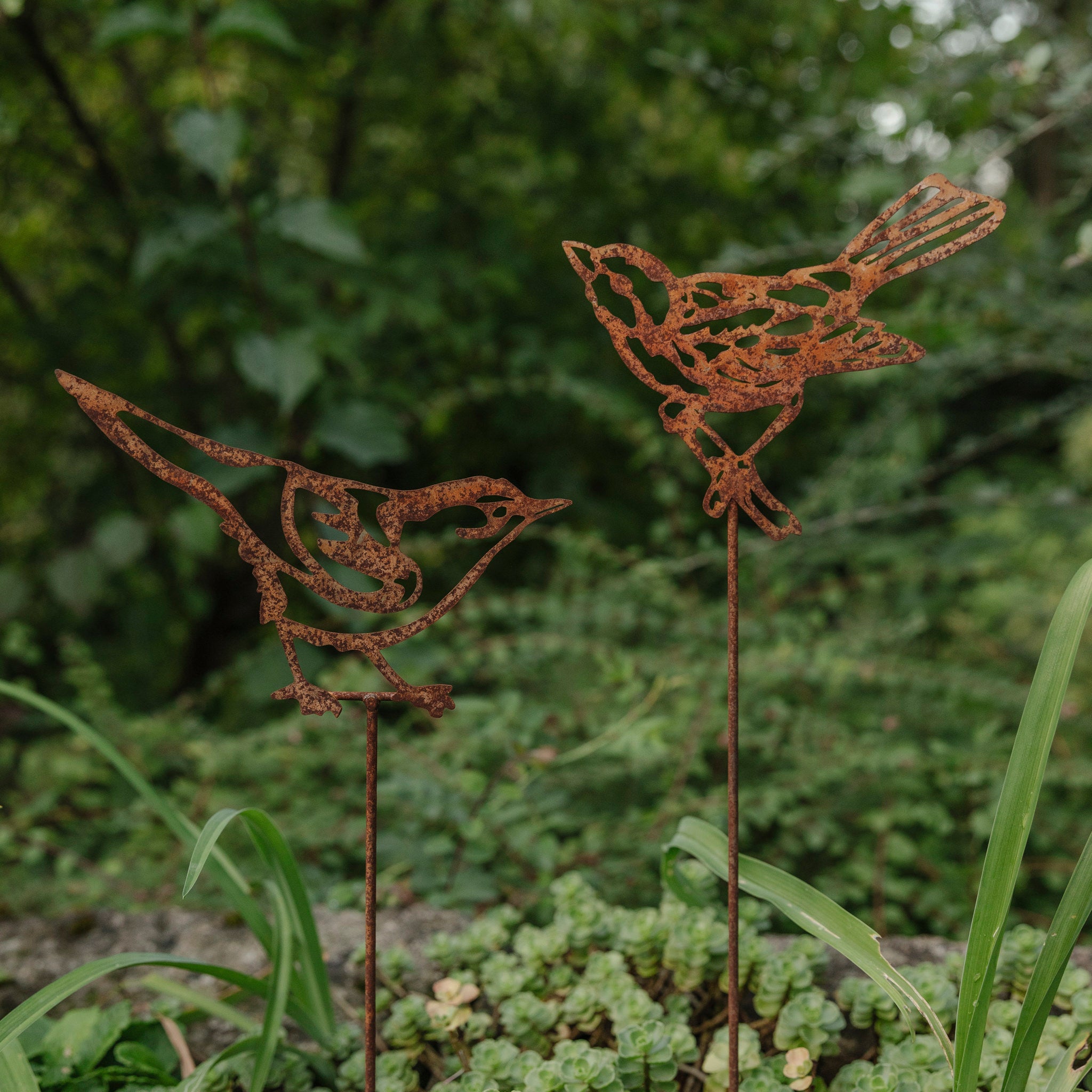 Gartenstecker Vögel 2er Set Rost