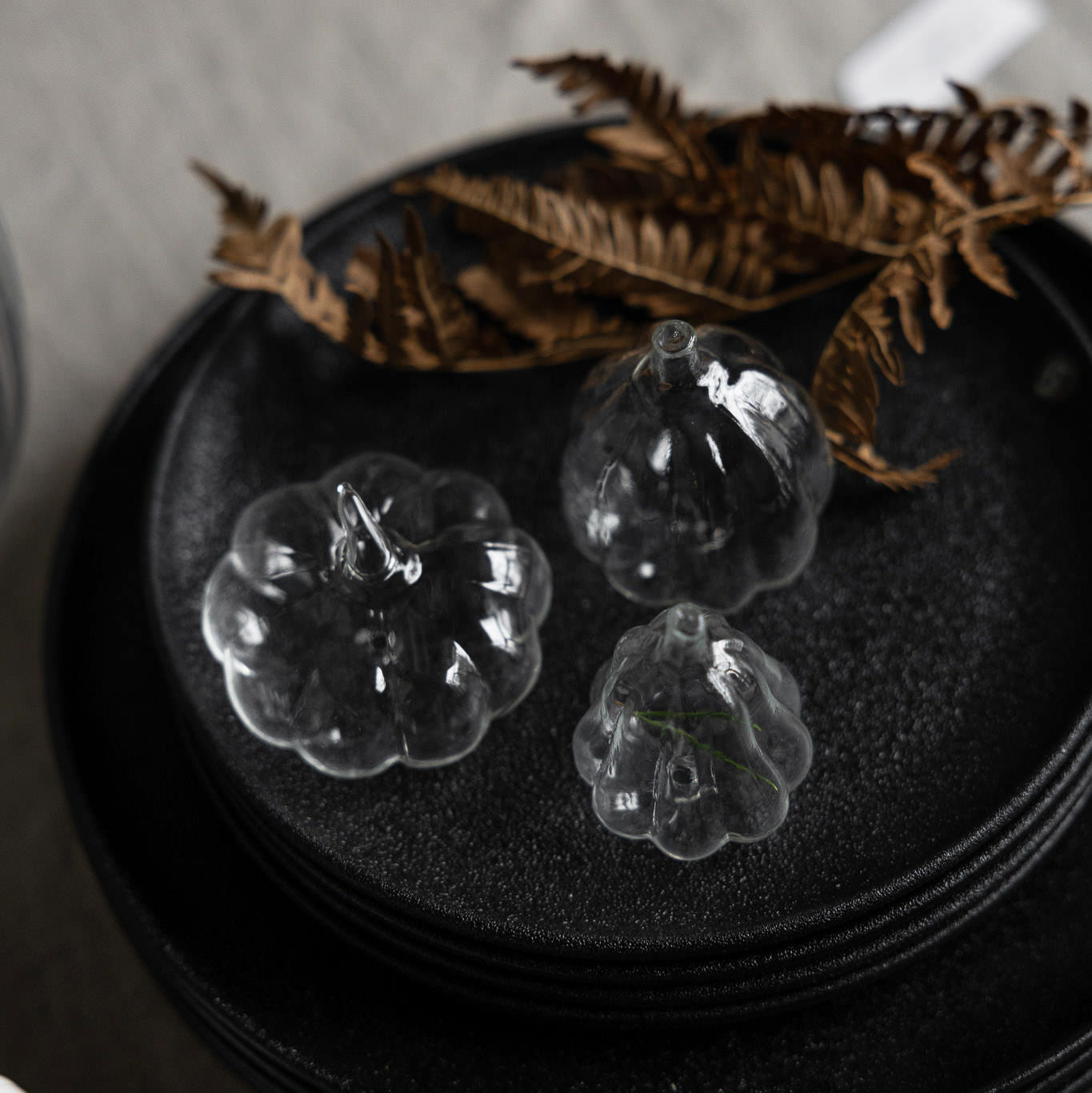 Kürbis Ekhammar - Glas