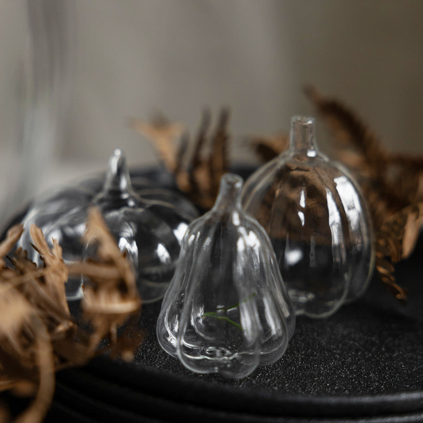 Kürbis Stenkullen - Glas