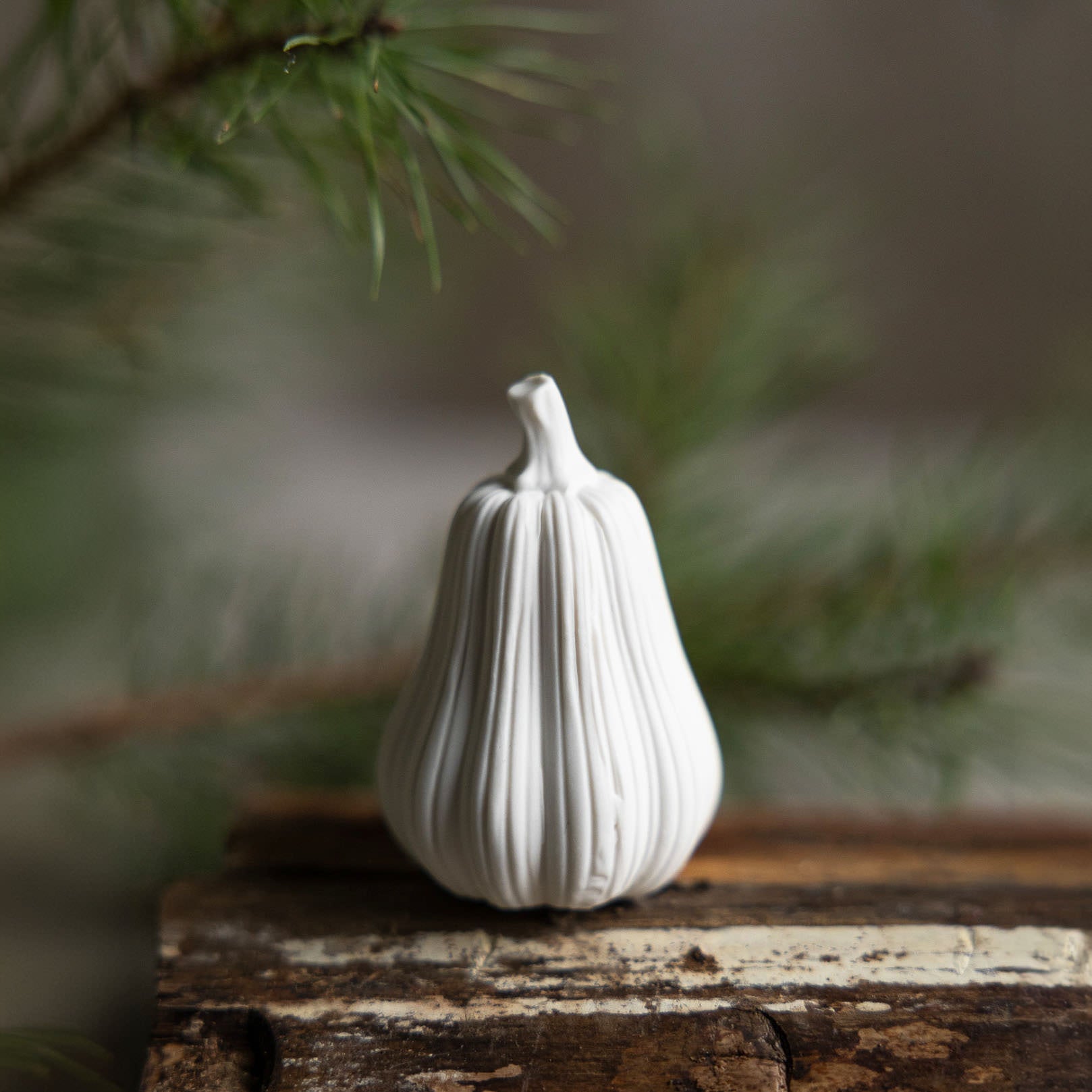 Kürbis Hillinge - weiß