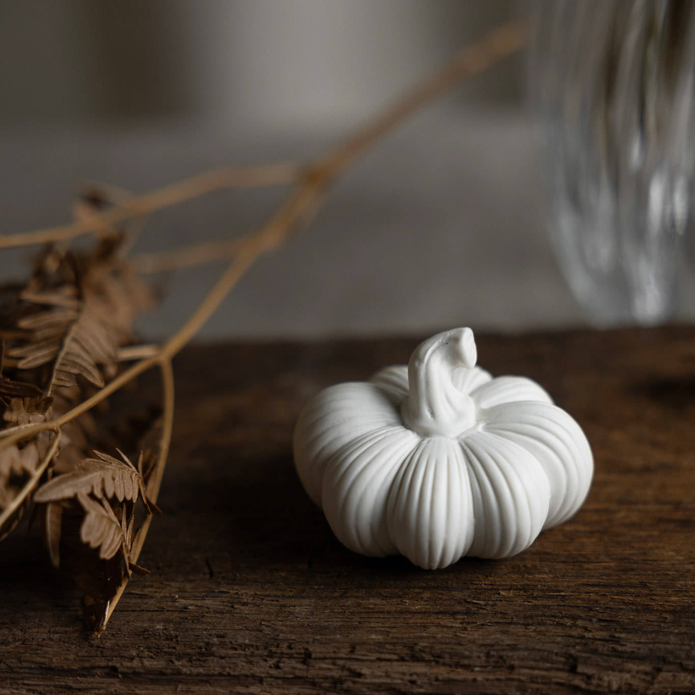 Kürbis Ekasen - weiß