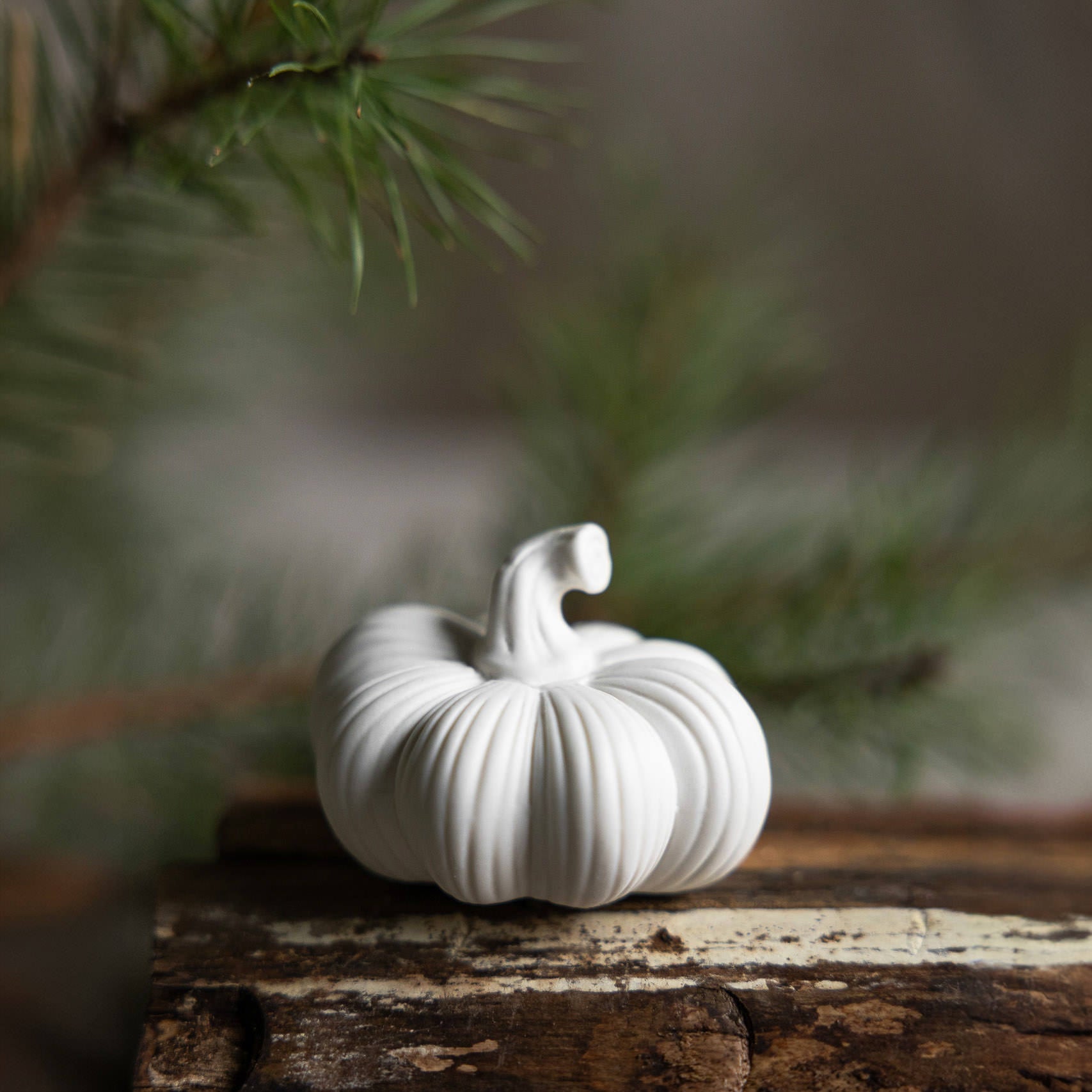 Kürbis 3er Set - weiß