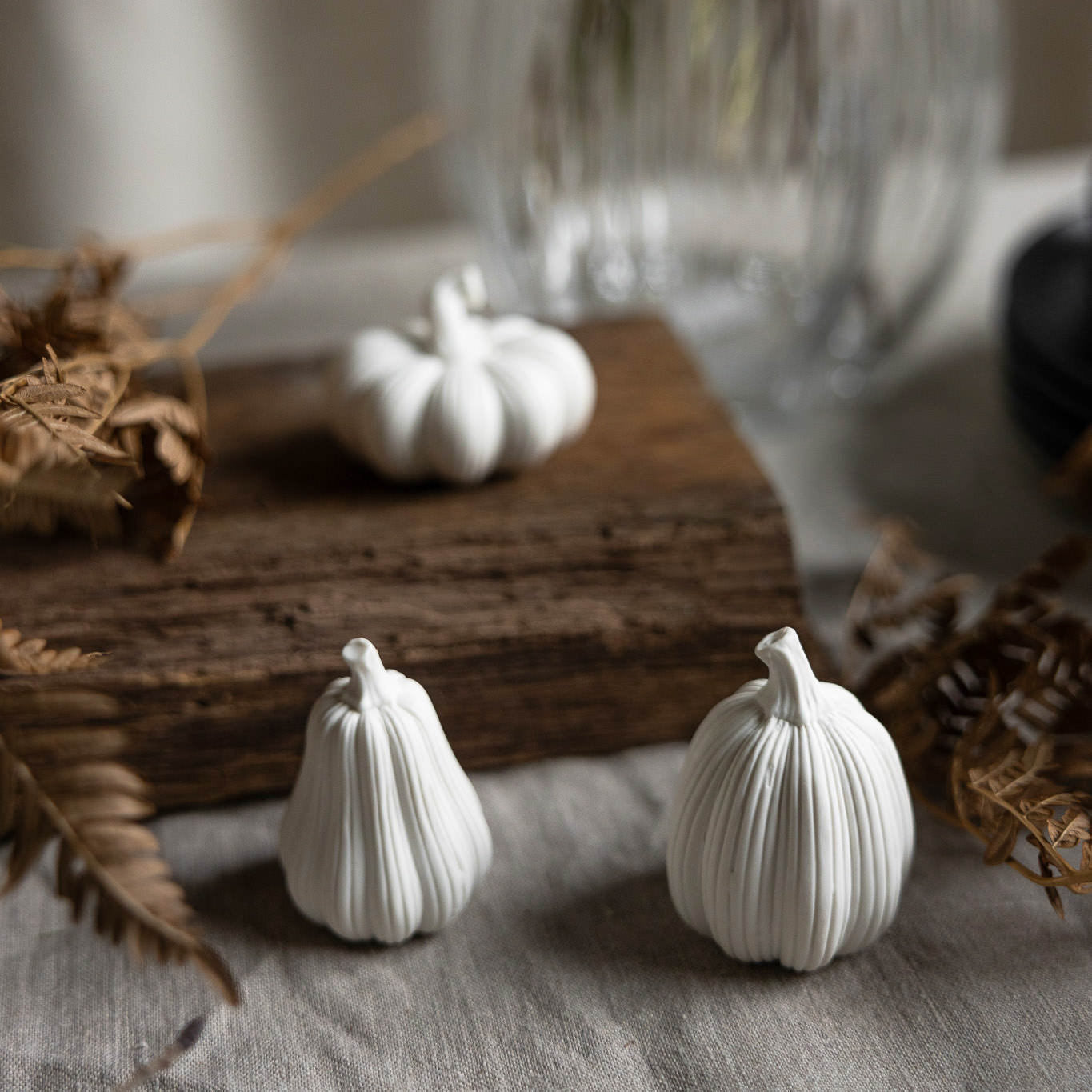 Kürbis 3er Set - weiß