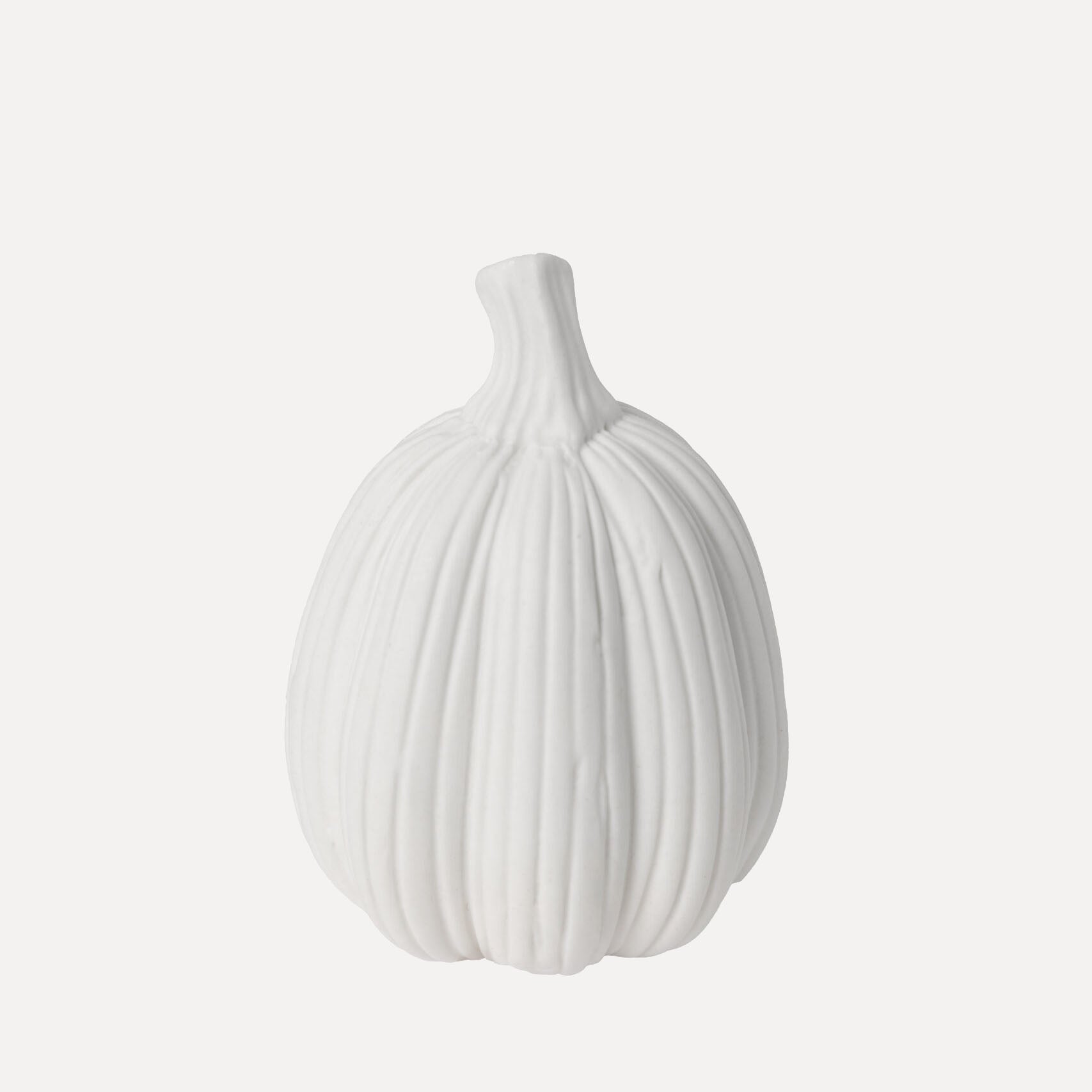 Kürbis Tranhult - weiß