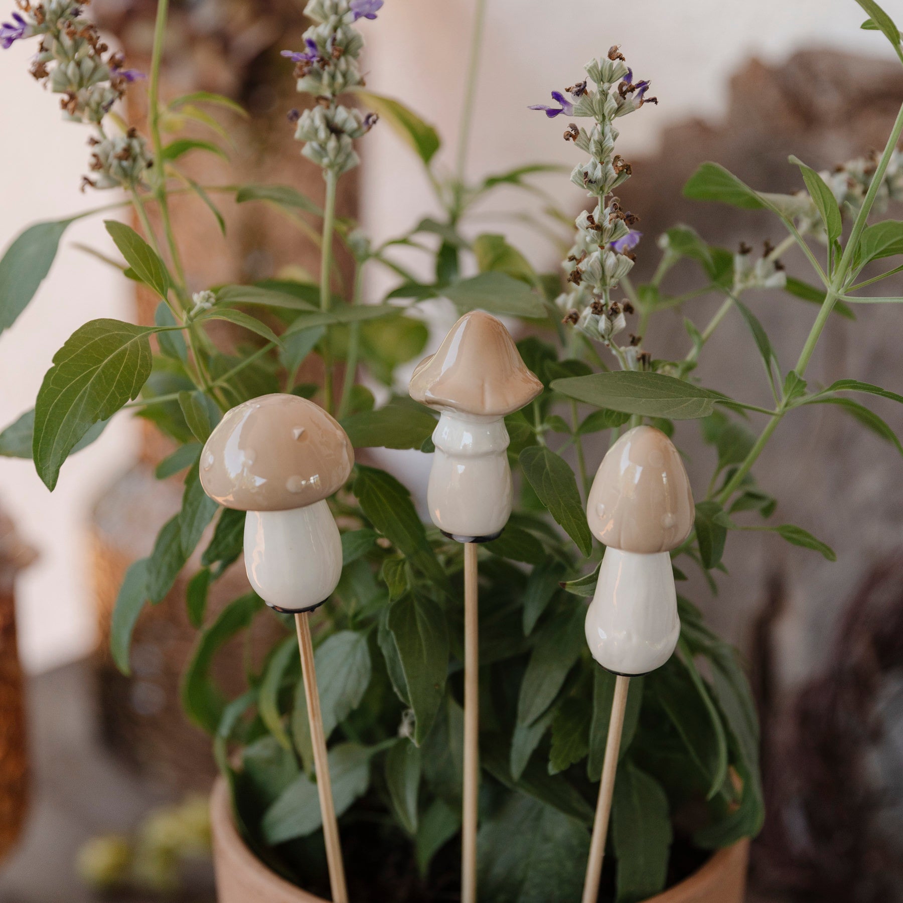 Pilze Stecker 3er Set - beige