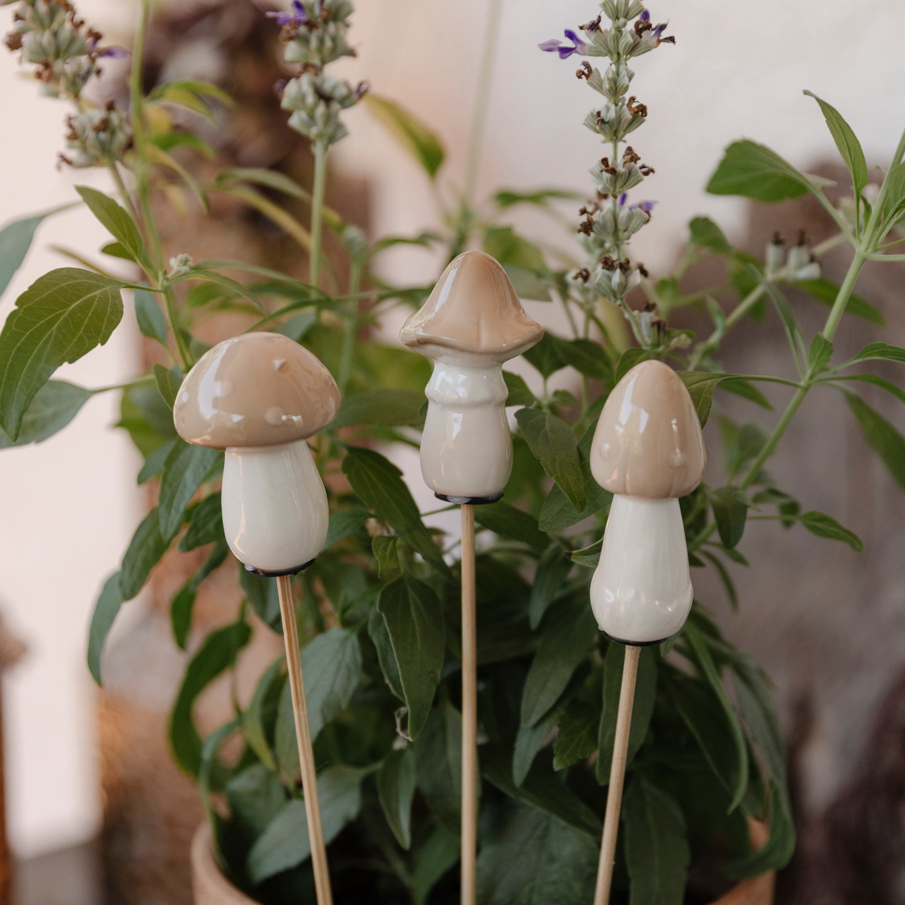 Pilze Stecker 3er Set - beige