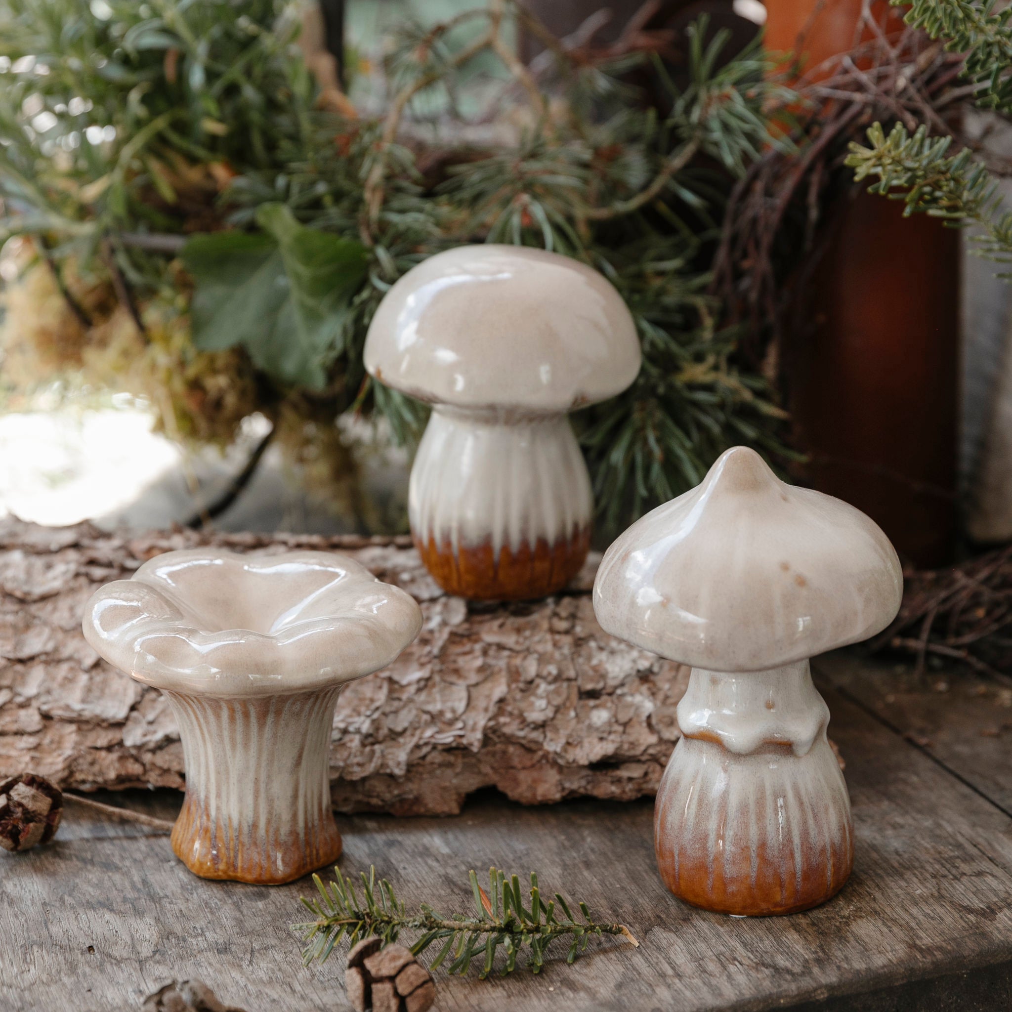 Pilz Boletus - beige